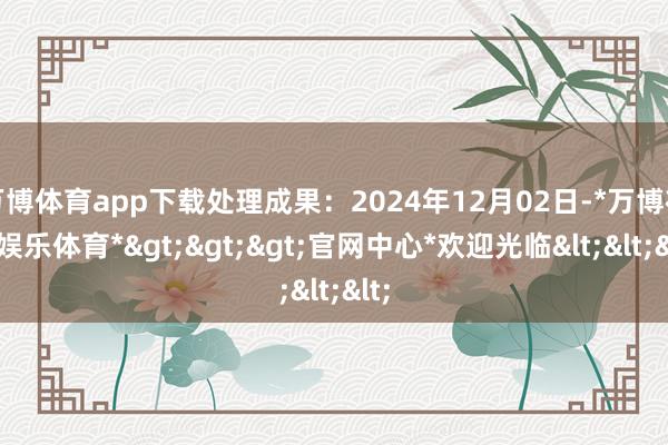 万博体育app下载处理成果：2024年12月02日-*万博在线娱乐体育*>>>官网中心*欢迎光临<<<